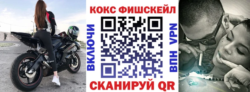 купить закладку  Терек  Cocaine Эквадор 