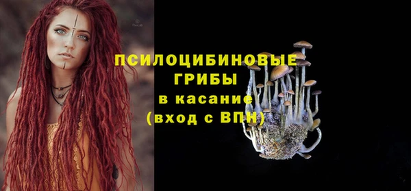 дмт Абаза