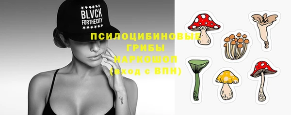 дмт Абаза