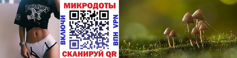 Псилоцибиновые грибы мицелий  mega как войти  Терек  что такое  