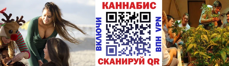 Шишки марихуана Amnesia  Терек 